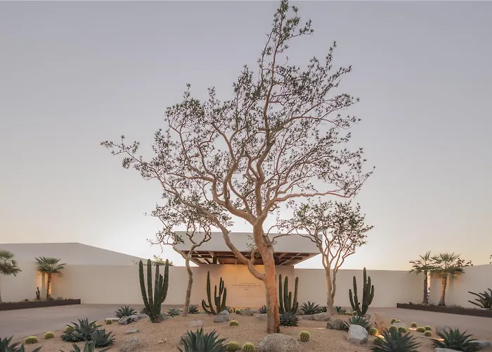 Park Hyatt Cabo Del Sol