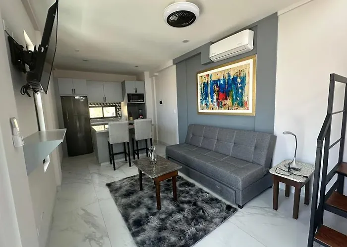 Dog-Friendly Loft With Rooftop Infinity Pool, Gym, Balcony & Central Ac